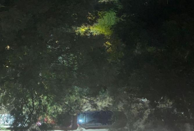 7811768 - صورة العقار 2