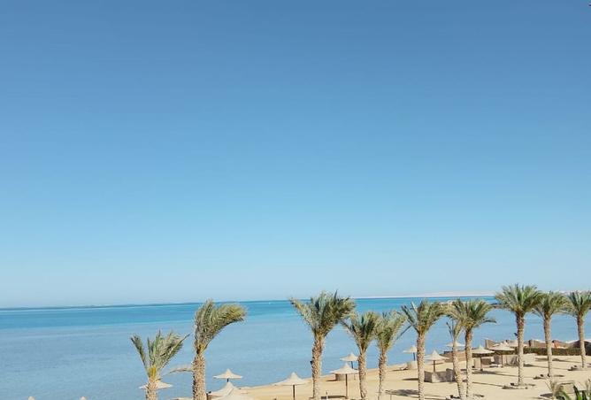 7812868 - صورة العقار 2