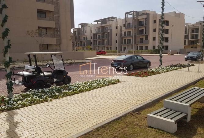 7813687 - Property Image 3