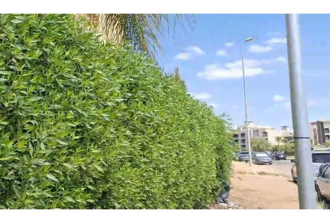 7836327 - صورة العقار 2