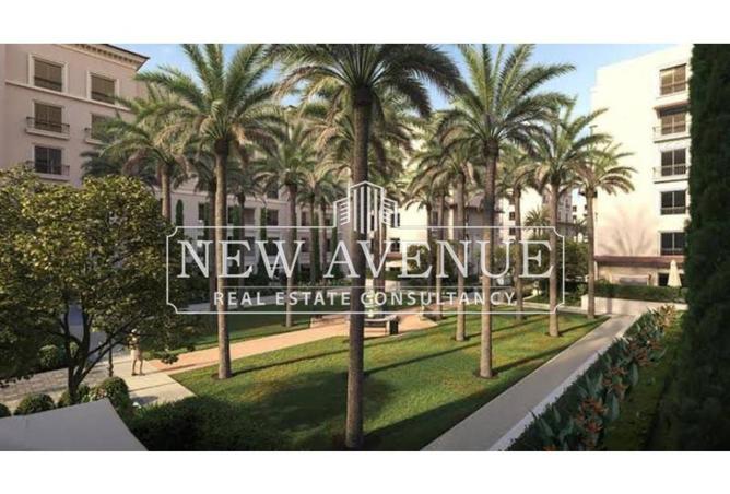 8197319 - Property Image 2