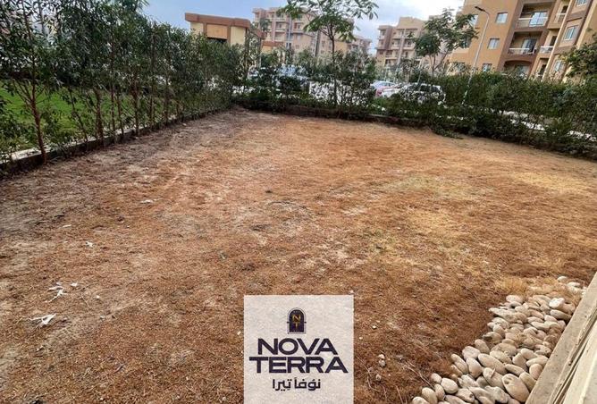 7826444 - Property Image 3