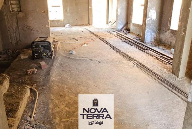 7826441 - Property Image 2