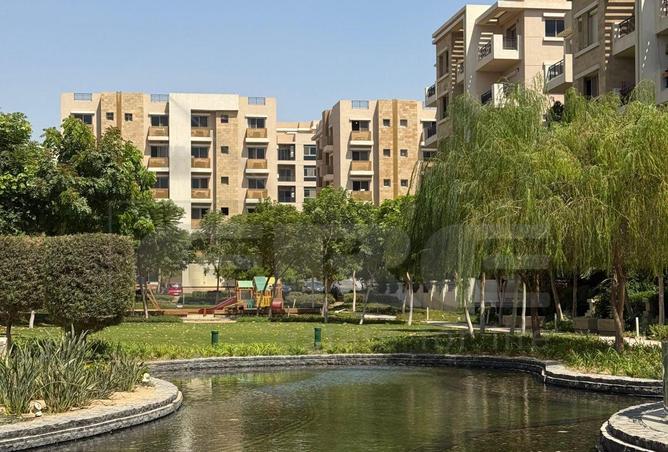 7888064 - صورة العقار 3