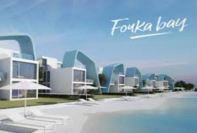 7822177 - صورة العقار 2