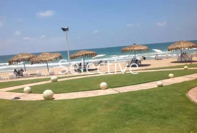 7822359 - صورة العقار 2