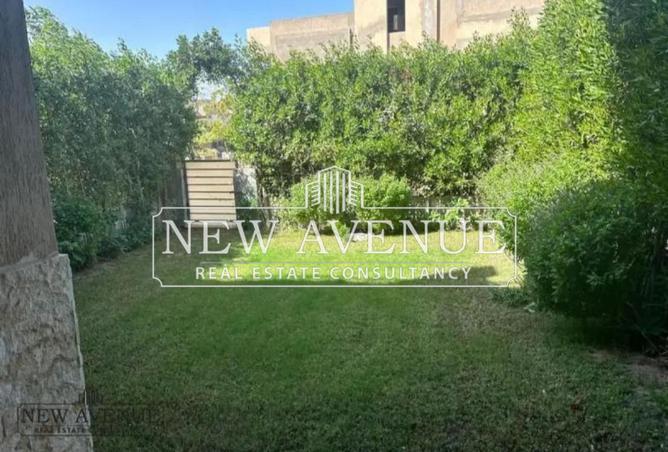 8279919 - Property Image 3