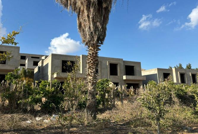 7829550 - صورة العقار 3