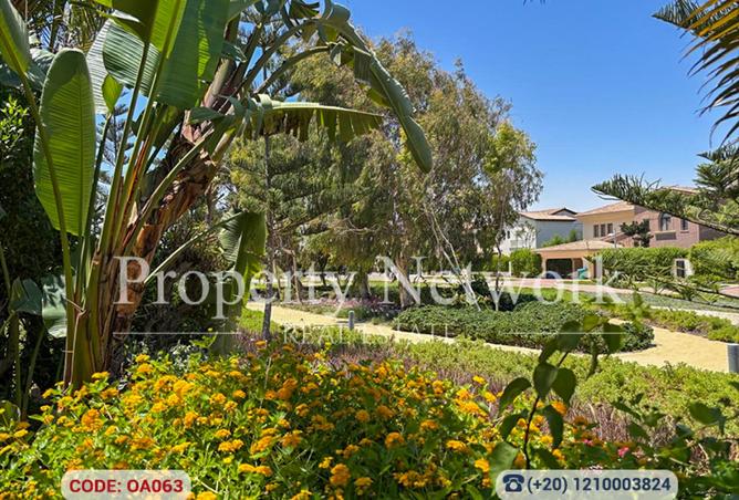 8339370 - صورة العقار 3