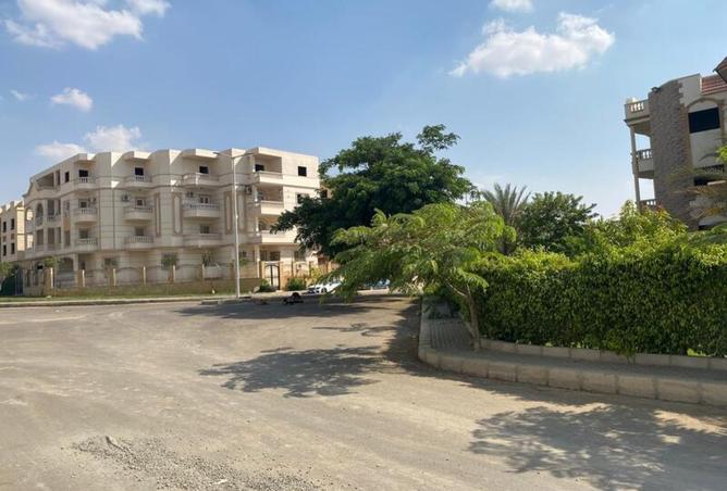 7833812 - Property Image 3