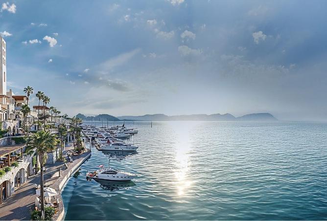 7834504 - الصورة الرئيسية للعقار