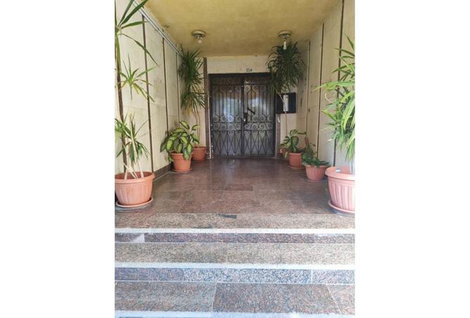 7834677 - Property Image 2