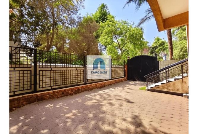 7850385 - الصورة الرئيسية للعقار