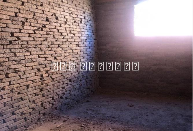 7835931 - صورة العقار 2