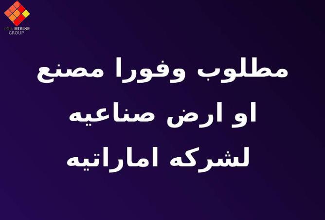 8187034 - صورة العقار 2