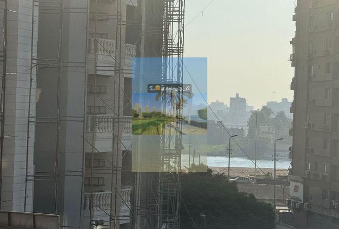 7836091 - Property Image 3