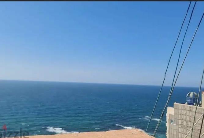 7836136 - صورة العقار 2