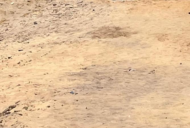 7836293 - Property Image 2