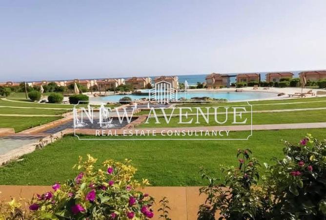 8251480 - صورة العقار 3