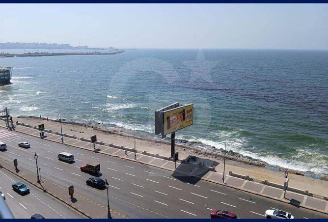 7837757 - Property Image 3