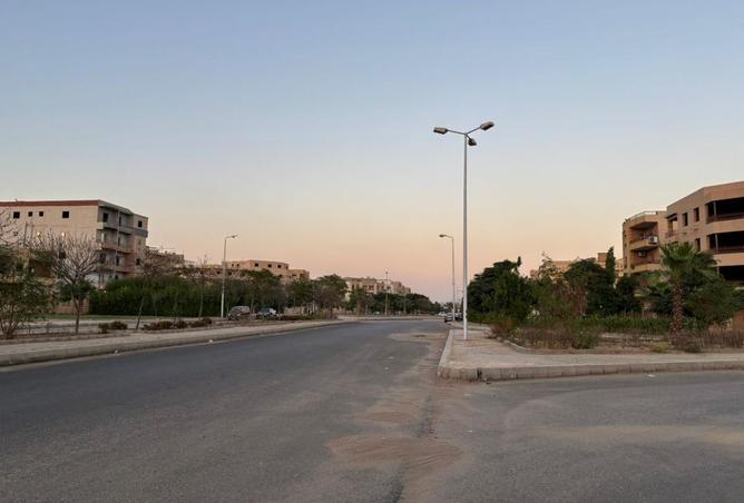 7838151 - Property Image 2