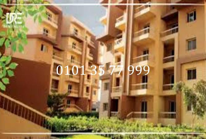 7838856 - صورة العقار 3