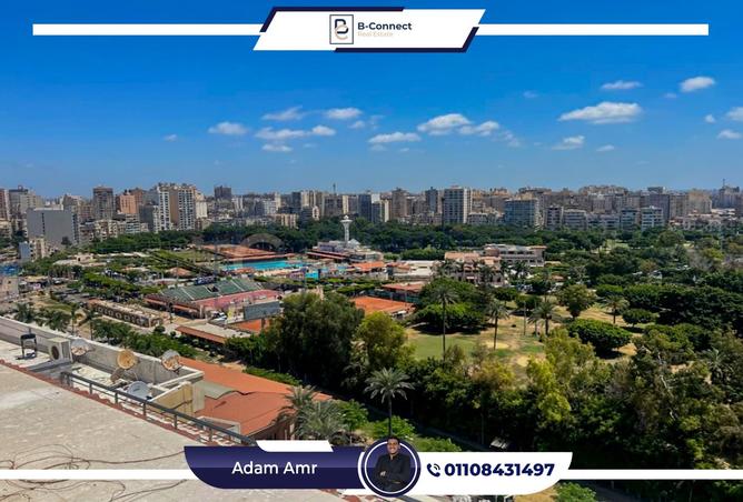 7838241 - Property Image 2