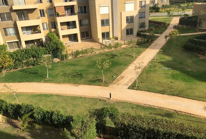 7839254 - Property Image 3