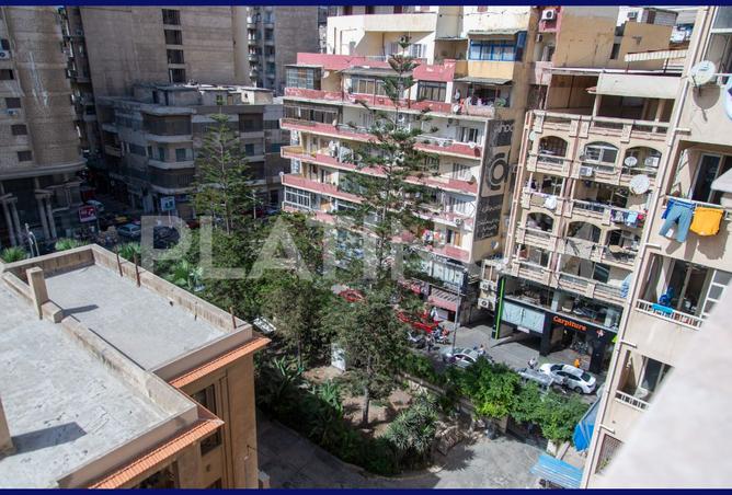 7839446 - Property Image 3