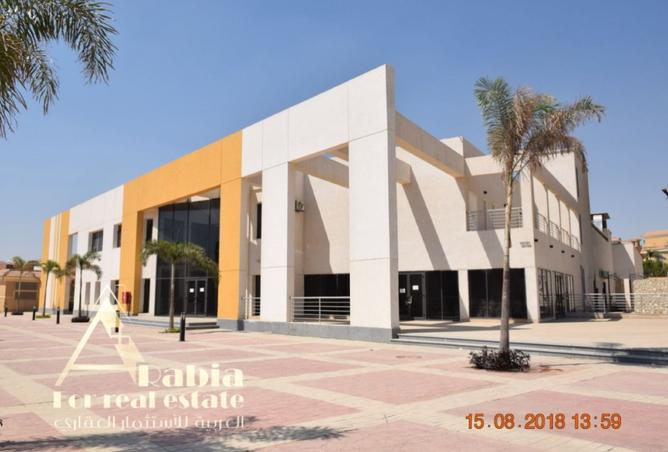 8367958 - Property Image 3