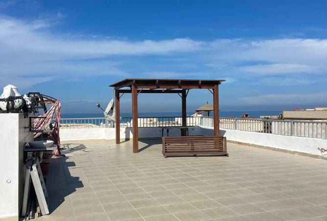 7841646 - الصورة الرئيسية للعقار