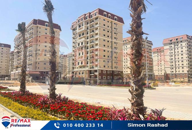 7841713 - صورة العقار 3