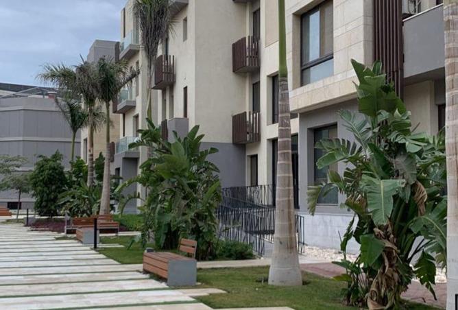 7842650 - Property Image 2