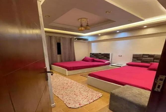 7843247 - Property Image 2