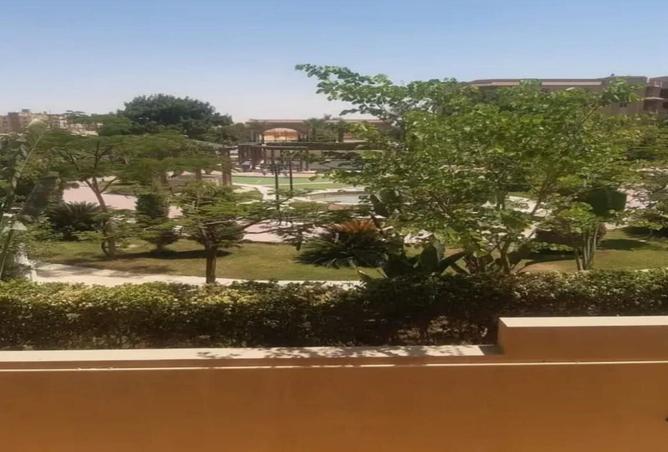 7843357 - صورة العقار 3