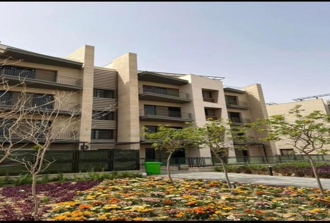 7843926 - صورة العقار 3