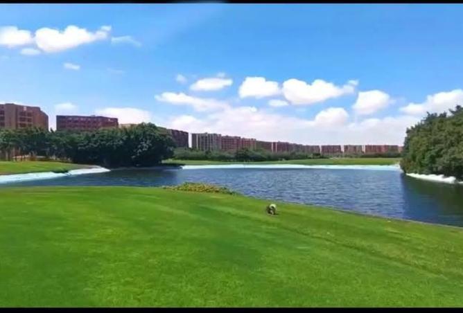 7845681 - صورة العقار 2