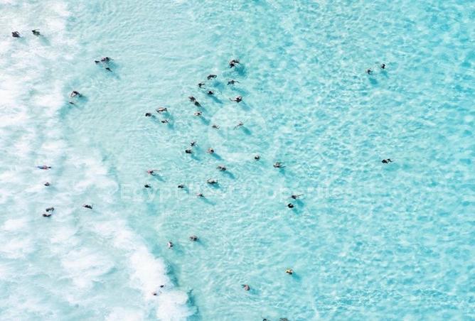 7847363 - صورة العقار 3