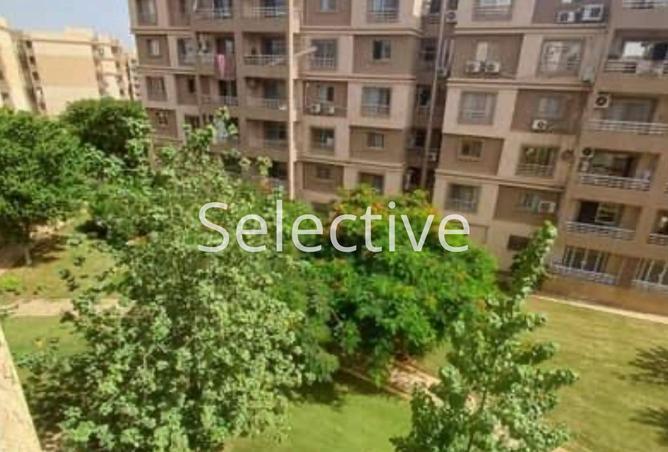 8050049 - Property Image 3