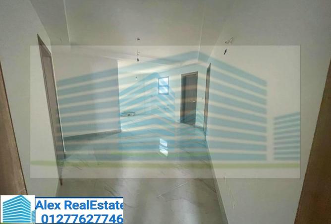 7849561 - Property Image 2