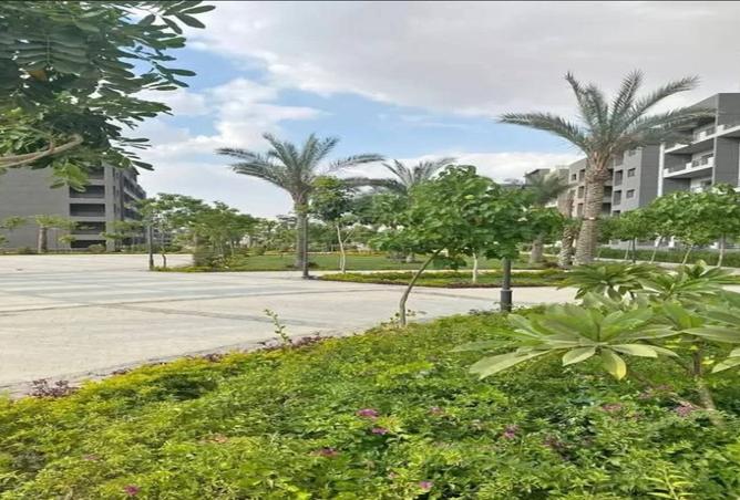 7849856 - Property Image 2