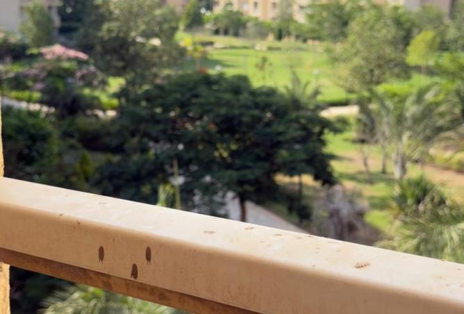 7857629 - Property Image 2