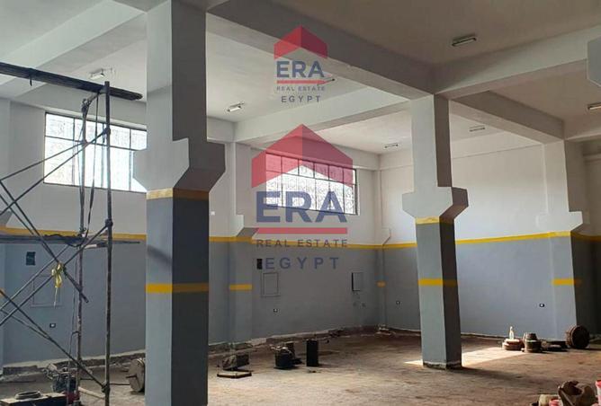 8192575 - صورة العقار 3