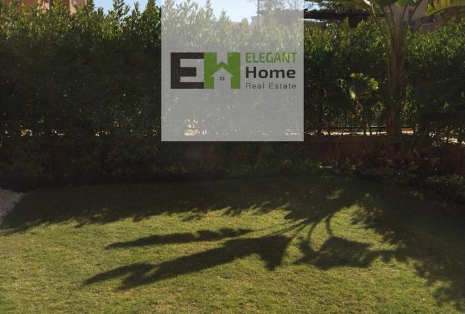 8388824 - صورة العقار 3