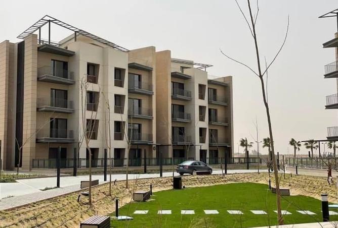 55254932 - Property Image 3