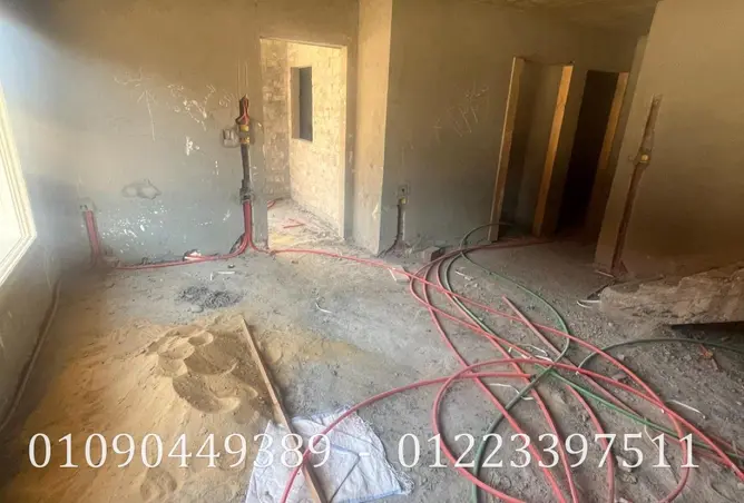 7855729 - Property Image 3