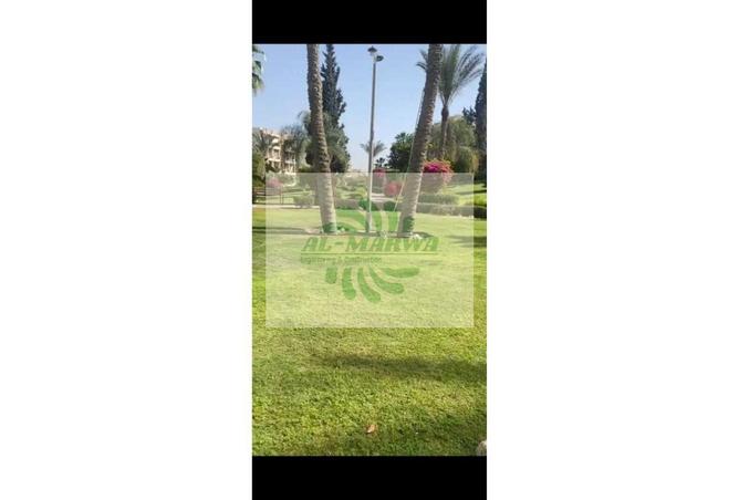 7868524 - Property Image 3