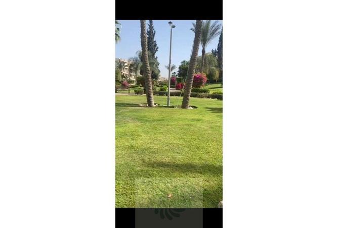 7868524 - Property Image 3