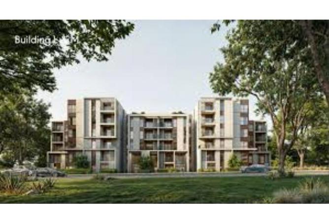 7857329 - Property Image 2