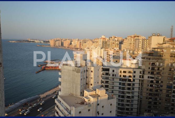 7857927 - Property Image 2